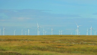 草原上的风力涡轮机视频素材模板下载