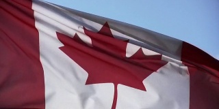 HD:加拿大国旗特写