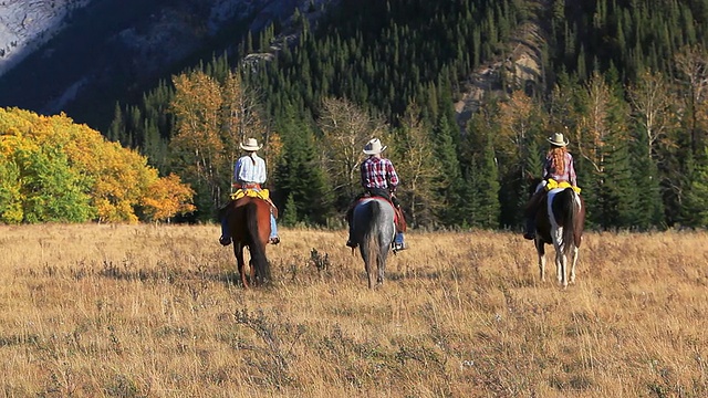 牛仔和两个女牛仔骑向山上