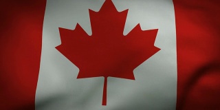 加拿大国旗视频完美循环