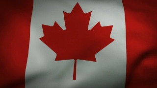 加拿大国旗视频完美循环视频素材模板下载
