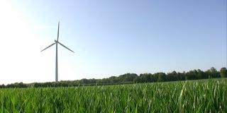蓝天上的绿草风力涡轮机回路