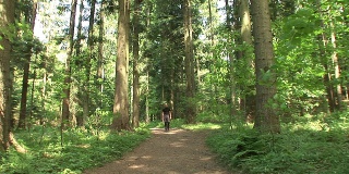 高清:森林徒步旅行者