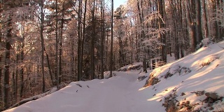 HD STEADYCAM:行走在积雪的森林小路上