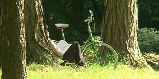 HD:在公园里读书