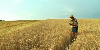 HD CRANE:小麦的高级农民