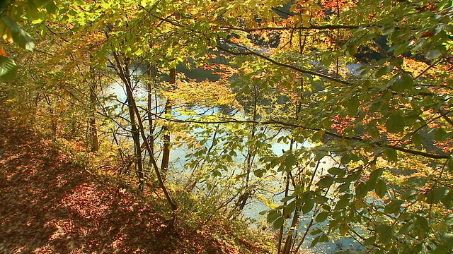 HD CRANE:秋天的大自然