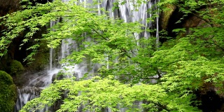 高清树和瀑布