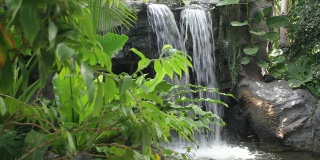 植物园中的装饰性瀑布;关注瀑布