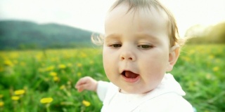 高清:一个快乐宝宝的肖像
