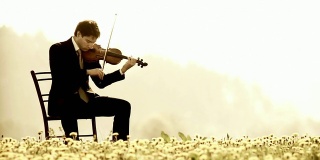 HD多莉:在大自然中演奏小提琴