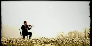 HD多莉:在大自然中演奏小提琴