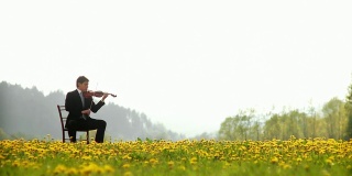 HD多莉:大自然中的音乐家