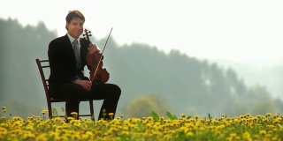 高清多莉:小提琴家的肖像