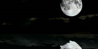 海上月亮