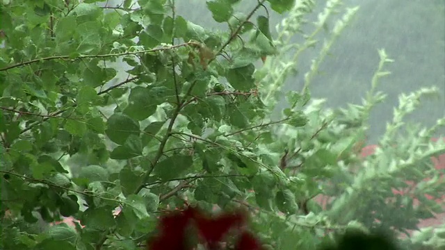 高清:暴风雨天气