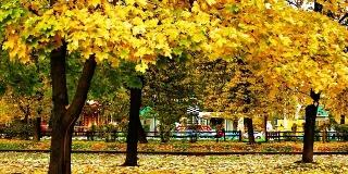 秋天在城市公园里