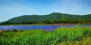 草，池塘，山