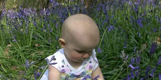 小女孩在风铃草地里玩耍