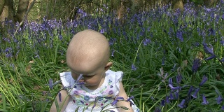 小女孩在风铃草地里玩耍