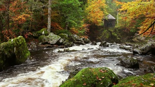 河穿过秋天的颜色在冬宫，苏格兰视频素材模板下载