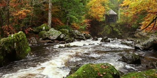 河穿过秋天的颜色在冬宫，苏格兰