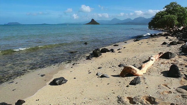 瓦胡岛迎风海岸景观