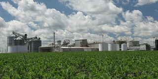 春季玉米地与乙醇工厂的背景
