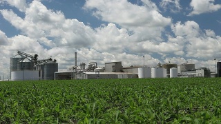 春季玉米地与乙醇工厂的背景视频素材模板下载