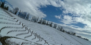 高清延时:云景穿越白雪葡萄园地区