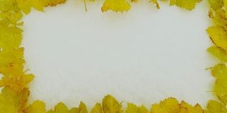 HD:黄色多彩的树叶在雪中