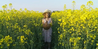 高清稳定镜头:小女孩采集油菜花