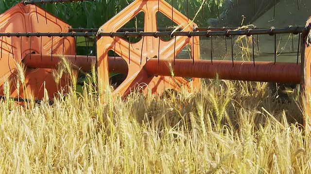 HD: Combine Harvester In The Field