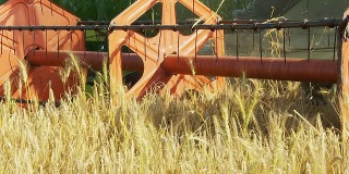 HD: Combine Harvester In The Field