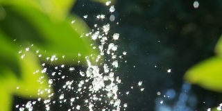 高清慢镜头:阳光下闪闪发光的水滴