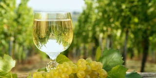 HD DOLLY:葡萄酒对抗葡萄园