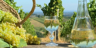 HD DOLLY:在葡萄园里喝白葡萄酒