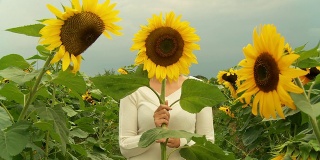 高清多莉:躲在向日葵后面的女人