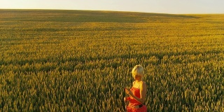 HD CRANE:在田里看麦子的女人