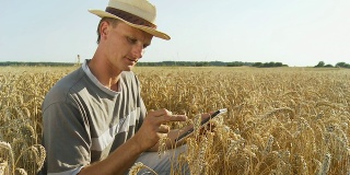 HD:农民用药片检查小麦
