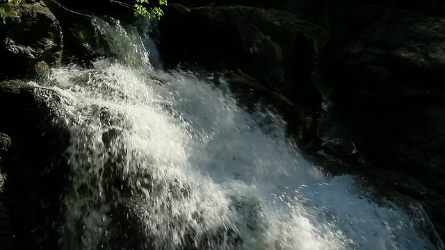 HD:森林中的瀑布