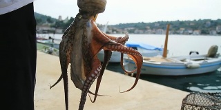 渔夫手里拿着章鱼
