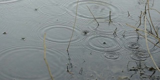 雨滴落在水面上
