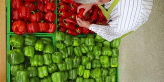 HD CRANE:工人在蔬菜货架上储存农产品