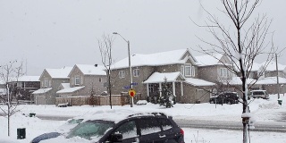 积雪的街道上。