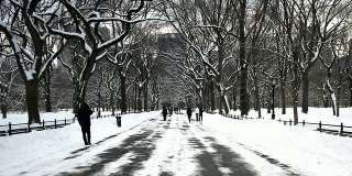 公园里的冬季人行道