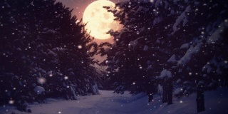 月亮和雪(可循环)
