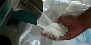 加工的大米。