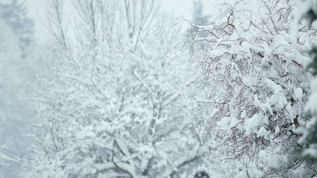 HD:正在铲雪的中年人