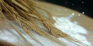 HD超级慢动作:面粉落在小麦上